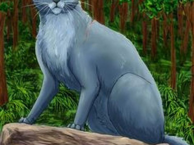 640x480 drawing of a cat jumping best my childhood images warrior cats - Cat Jumping Drawing