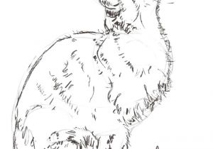 300x210 drawing of a cat jumping how to draw and sketch cats troller us - Cat Jumping Drawing