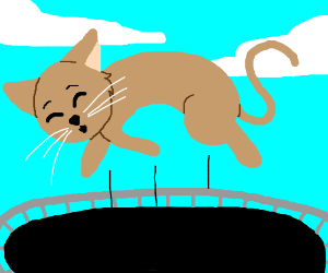 300x250 cat jumping on a trampoline drawing - Cat Jumping Drawing