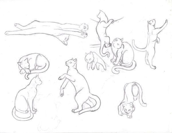 600x465 Model Sheet Cat - Cat Jumping Drawing