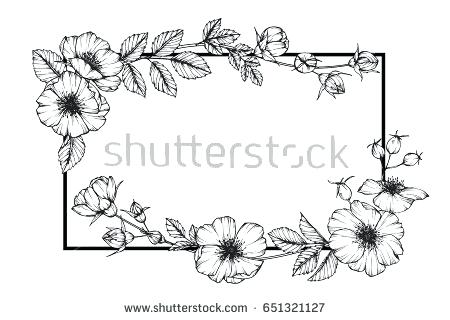 450x320 Line Drawing Clip Art Iammagazine - Cat Line Drawing Clip Art