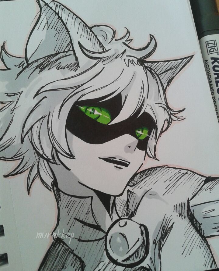 Cat Noir Drawing At Paintingvalley Com Explore Collection