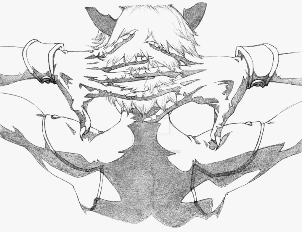 1020x784 chat noir - Cat Noir Drawing