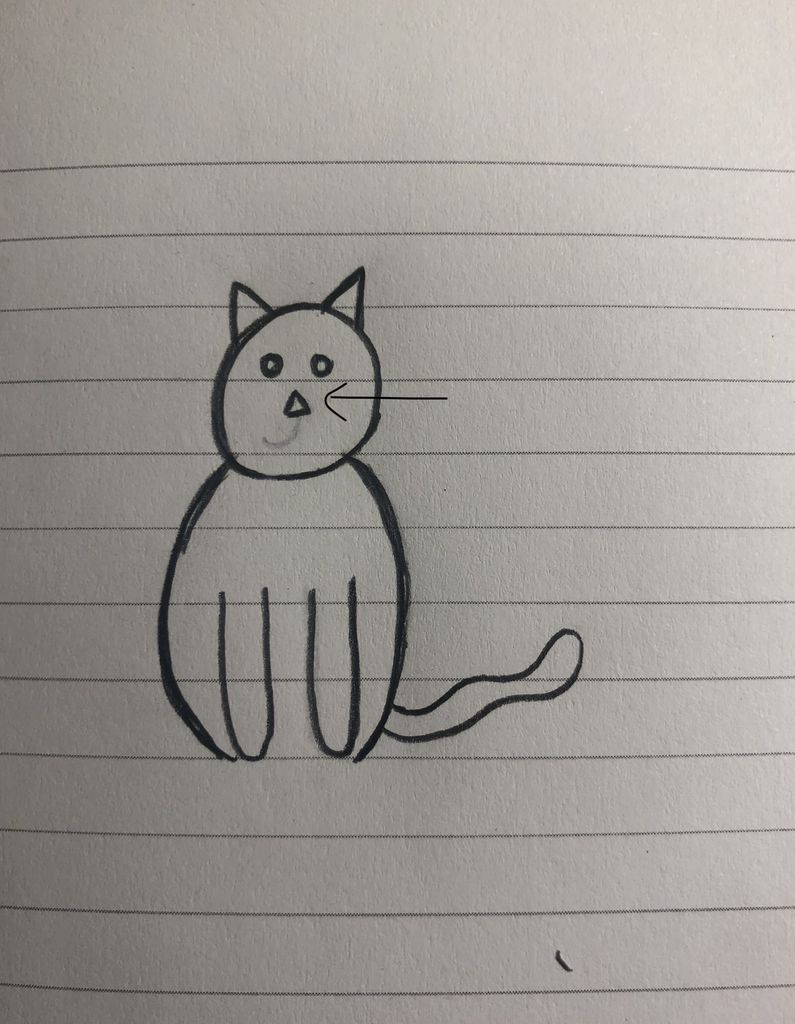 795x1024 How To Draw A Cat Steps - Cat Nose Drawing