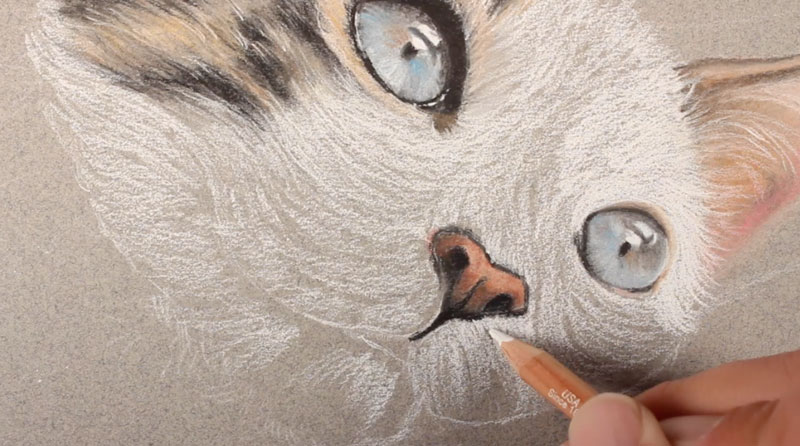 800x446 How To Draw A Cat With Pastels - Cat Nose Drawing