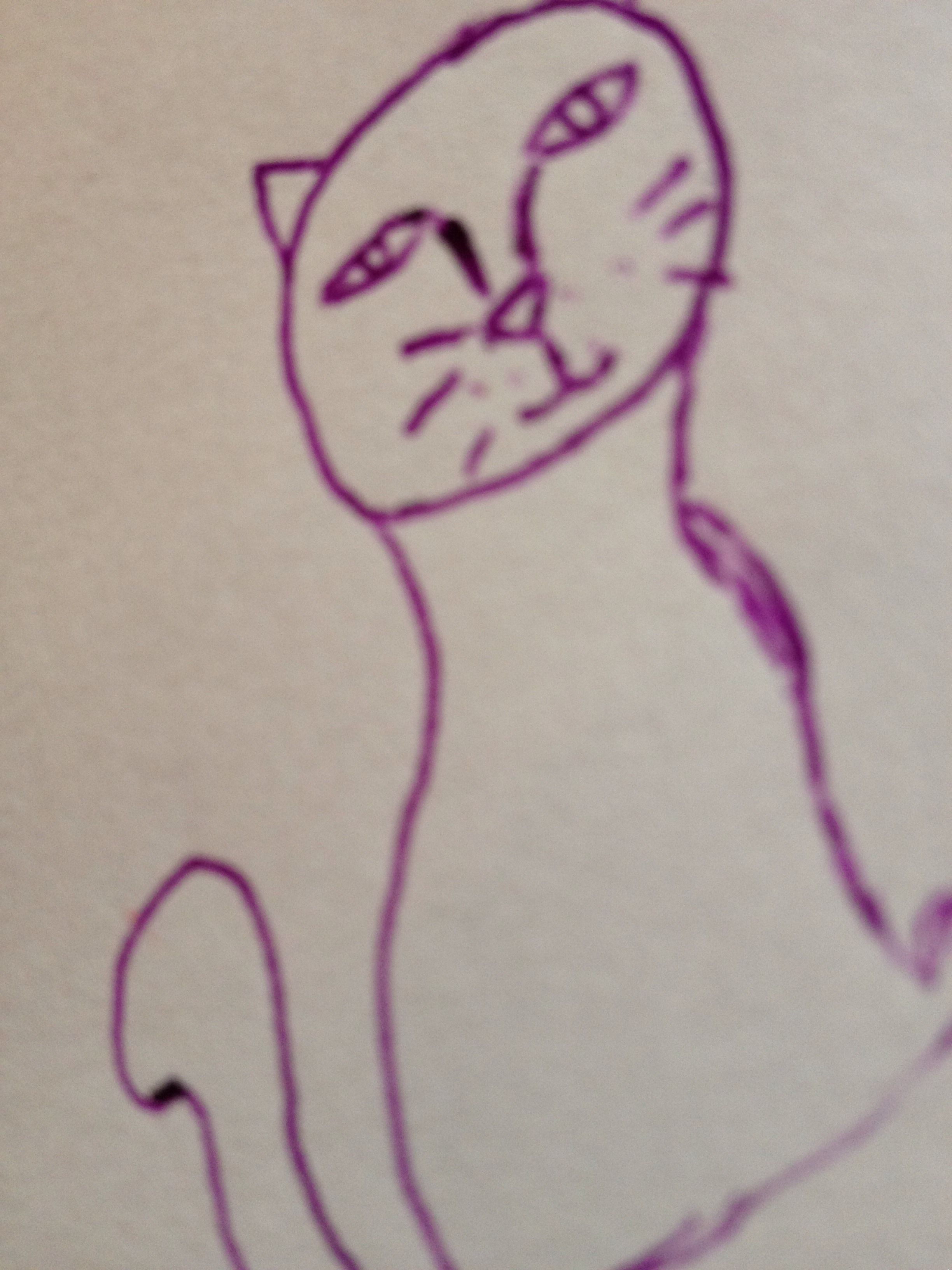 Cat Nose Drawing at Explore collection of Cat Nose