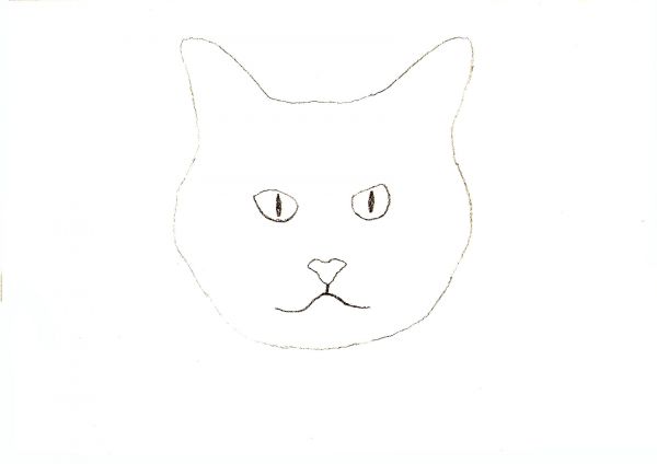 600x424 Learn How To Draw Four Different Cats - Cat Nose Drawing