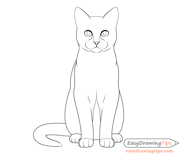 728x620 How To Draw A Sitting Cat Step - Cat Outline Drawing