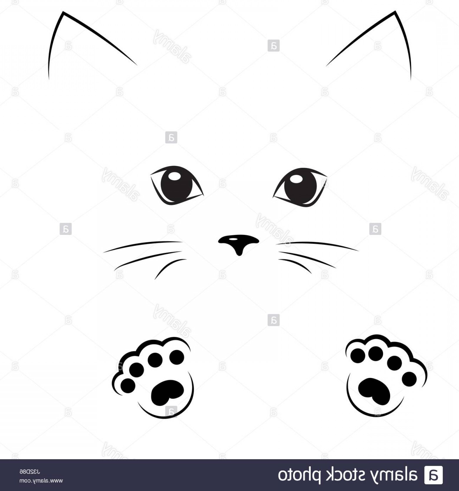 1560x1668 cat drawing vector arenawp - Cat Outline Drawing