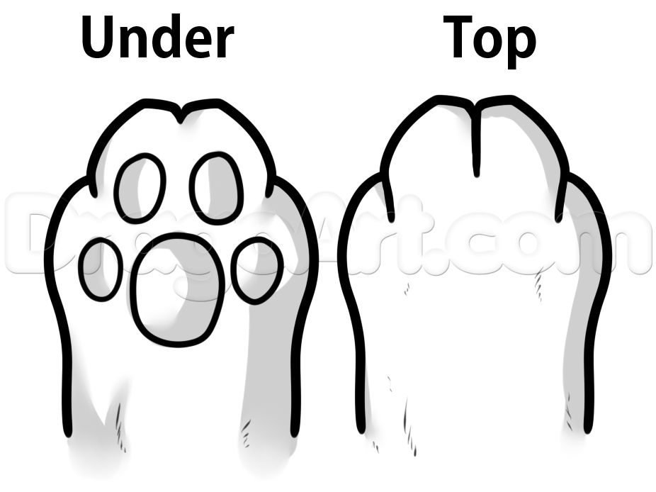 926x694 how to draw cat paws, step - Cat Paw Drawing