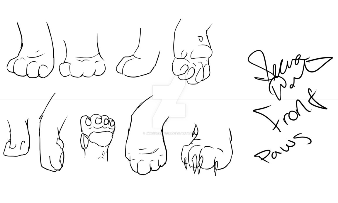 1153x692 quick cat paw refs for all my lovely watchers! - Cat Paw Drawing