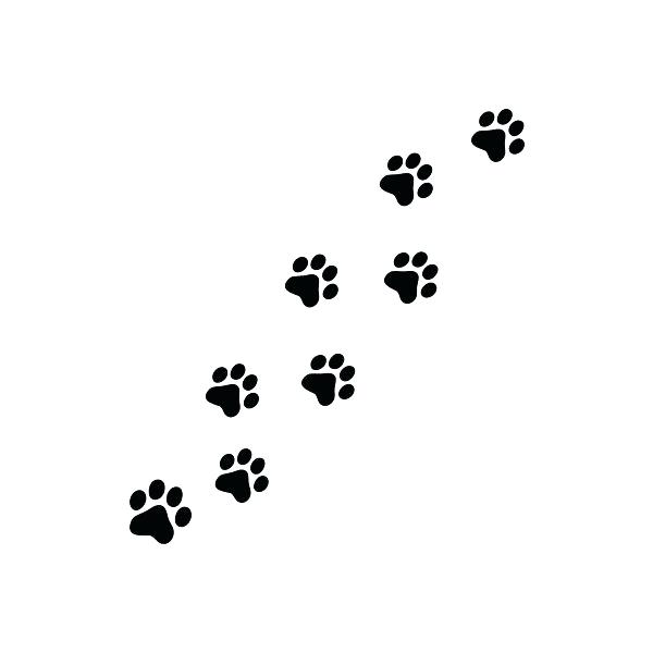 How To Draw Cat Paws Prints