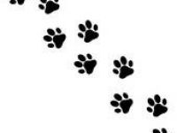 200x150 Free Clip Art Of Cat Paw Print Awesome Hand Drawing Cute Cats - Cat Paw Print Drawing