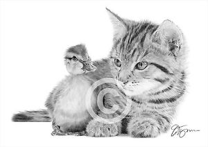 300x212 cat and duckling pencil drawing print only signed - Cat Pencil Drawing