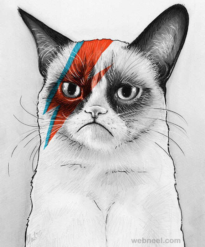 660x792 Cat Color Pencil Drawing - Cat Pencil Drawing