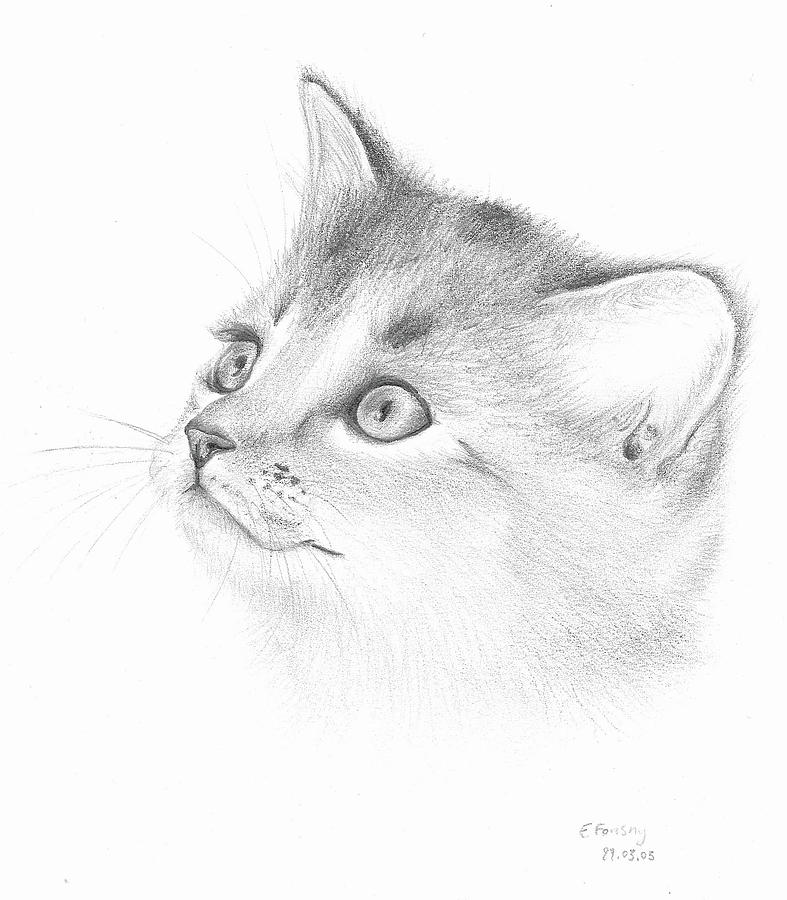 787x900 Pencil Drawing Of A Smiling Cat Drawing - Cat Pencil Drawing