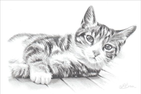 570x380 tabby cat cat art print pencil drawing of a cat gift for etsy - Cat Pencil Drawing