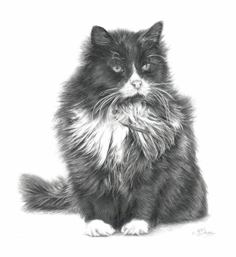 794x864 black and white cat pencil drawing cat art print cat etsy - Cat Pencil Drawing