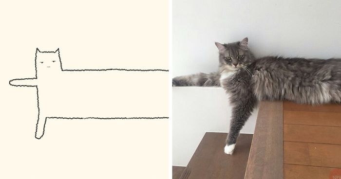 700x368 times 'stupid cat drawings' made everyone laugh with how - Cat Pictures Drawing