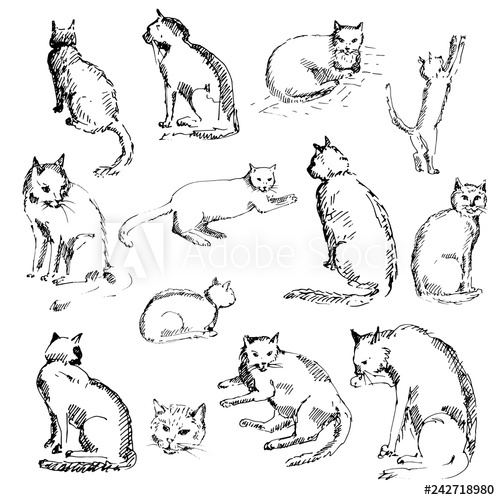 500x500 hand drawn set of cats cats in different poses sketch, vector - Cat Poses Drawing