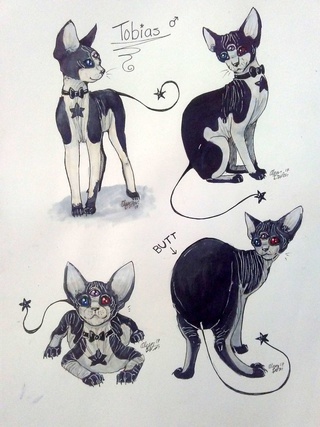 320x427 All Four Of My Entries On One - Cat Poses Drawing