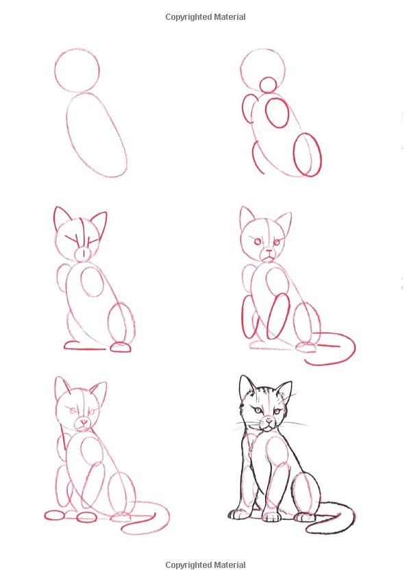 600x851 Simple Cat Drawing Examples Anyone Can Try - Cat Poses Drawing