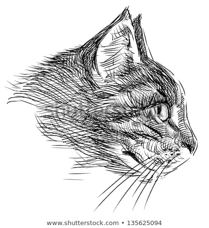 430x470 cat profile drawing profile cat stock illustration - Cat Profile Drawing
