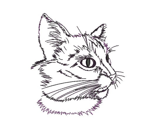 504x450 Cat Profile Drawing Deve Drawing - Cat Profile Drawing