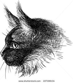 236x270 best cat profile pictures images cat profile, free - Cat Profile Drawing