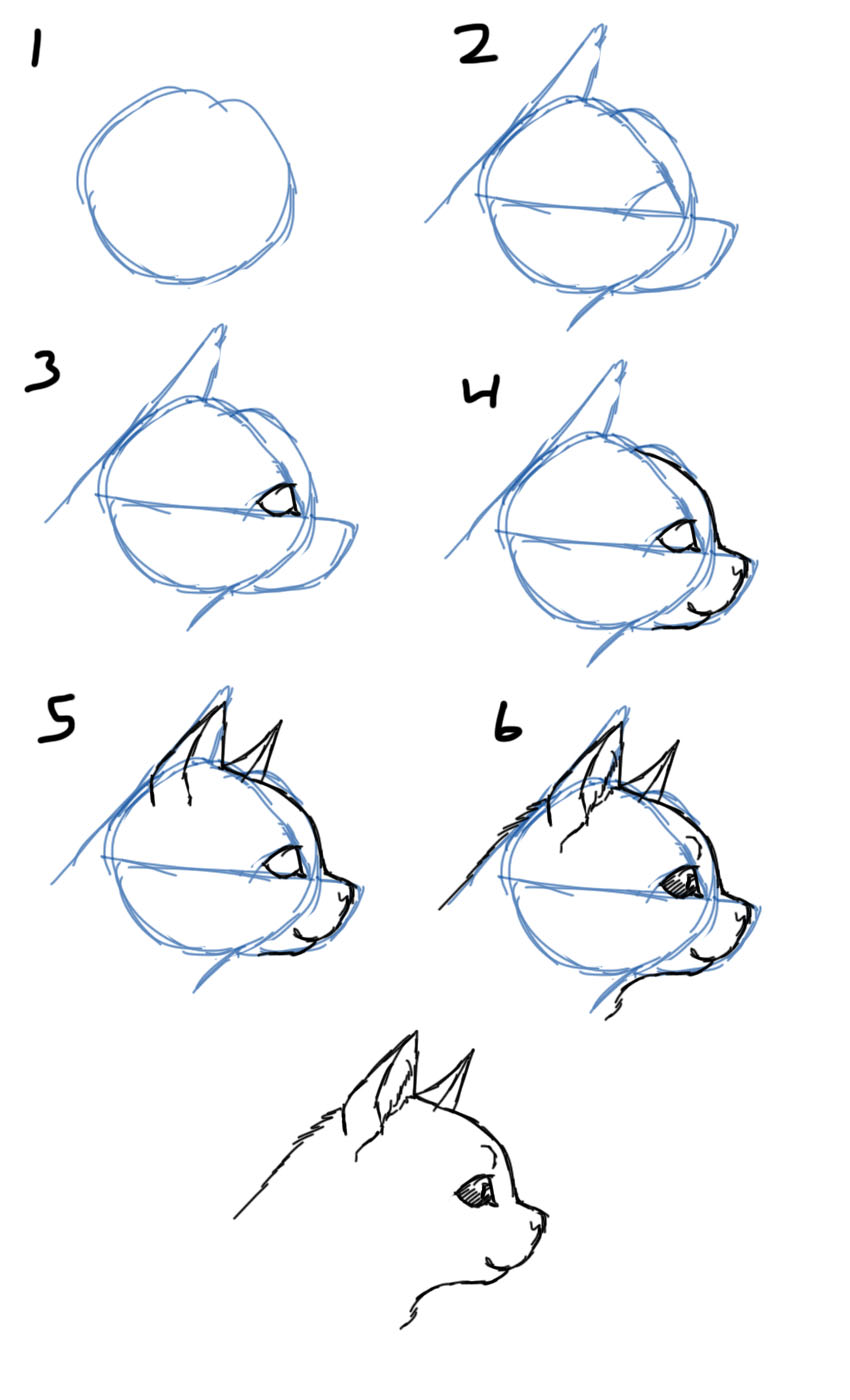 850x1400 Savanna Williams How To Draw Cats Faces Heads - Cat Profile Drawing