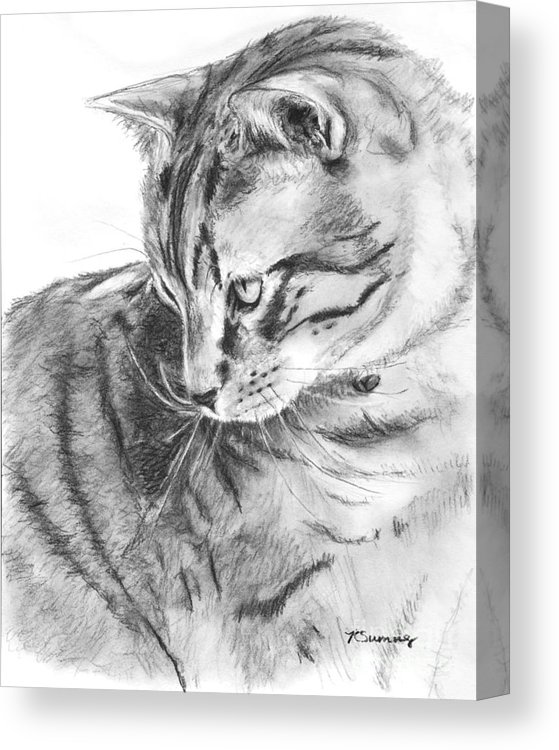 559x750 Tabby Cat In Profile Drawing Canvas Print Canvas Art - Cat Profile Drawing
