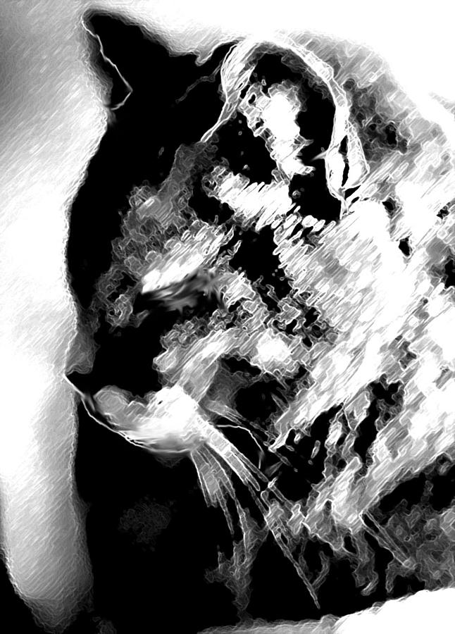 646x900 Cat Profile Digital Art - Cat Profile Drawing