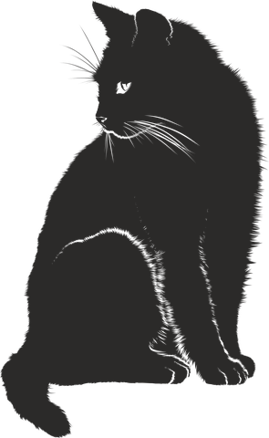 295x480 cat, shadow, silhouette, black karens card cat silhouette - Cat Shadow Drawing