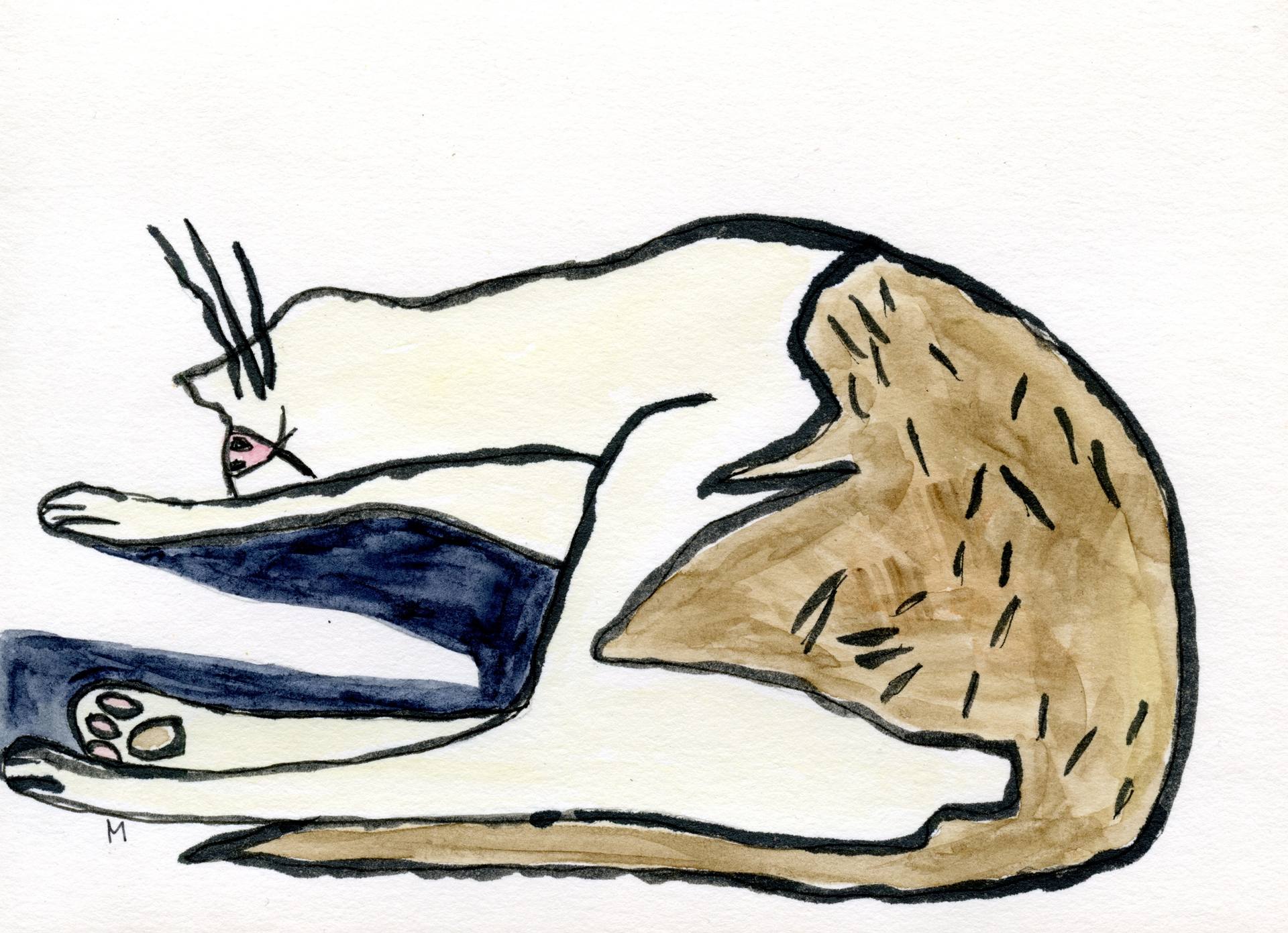 1920x1391 Cat With A Sparse Shadow Drawing - Cat Shadow Drawing