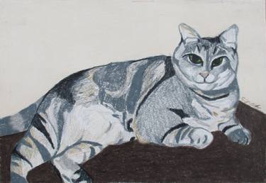 375x258 Shadow Cat Drawing - Cat Shadow Drawing
