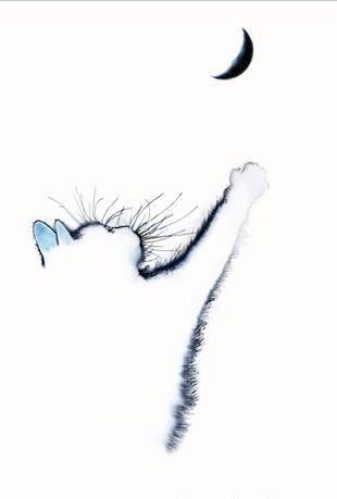 310x459 inverted cat shadow outline drawing in cat silhouette - Cat Shadow Drawing