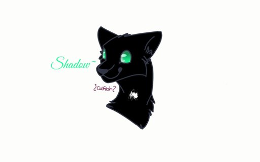 512x320 A Drawing Of My Cat Shadow! She's The Cat In My Profile Picture P - Cat Shadow Drawing