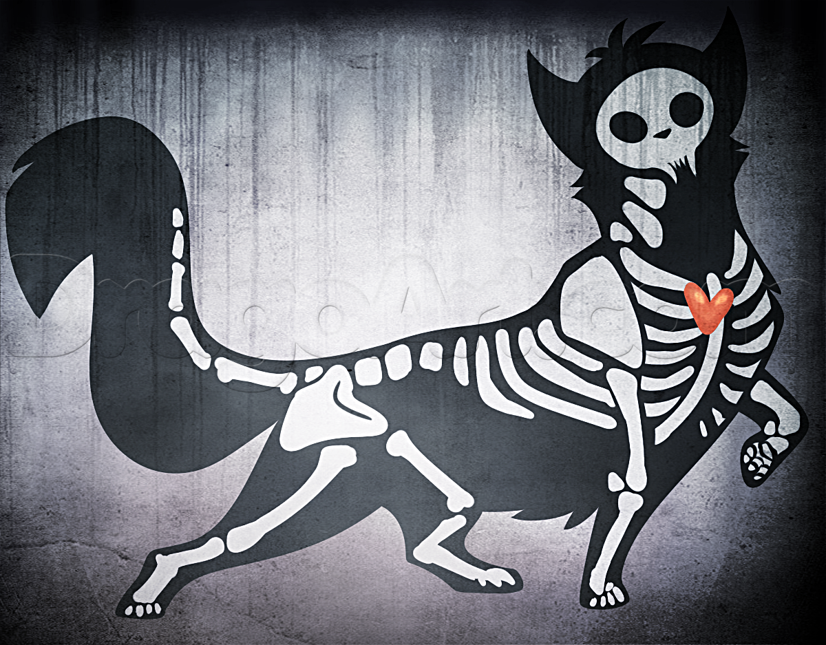 1200x937 How To Draw A Halloween Cat, Step - Cat Skeleton Drawing