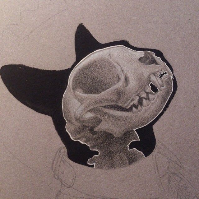 640x640 In Progress - Cat Skeleton Drawing