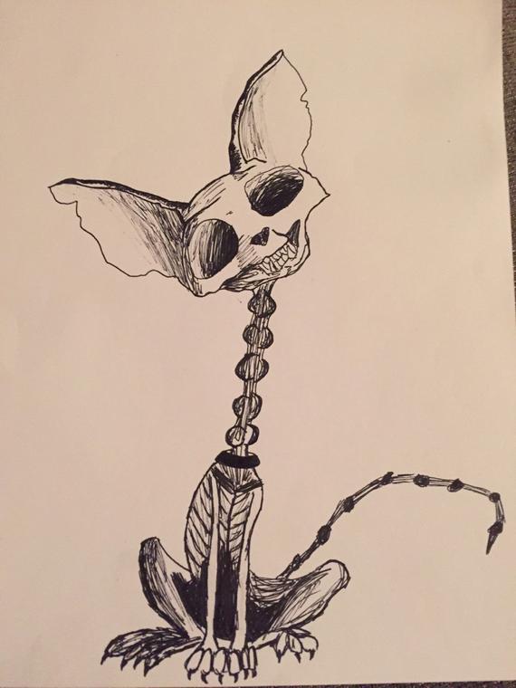 570x760 Skeleton Cat Etsy - Cat Skeleton Drawing