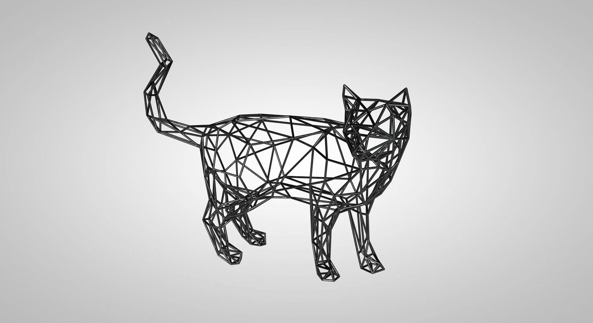 1980x1080 Model Cat Skeleton Printable Cgtrader - Cat Skeleton Drawing
