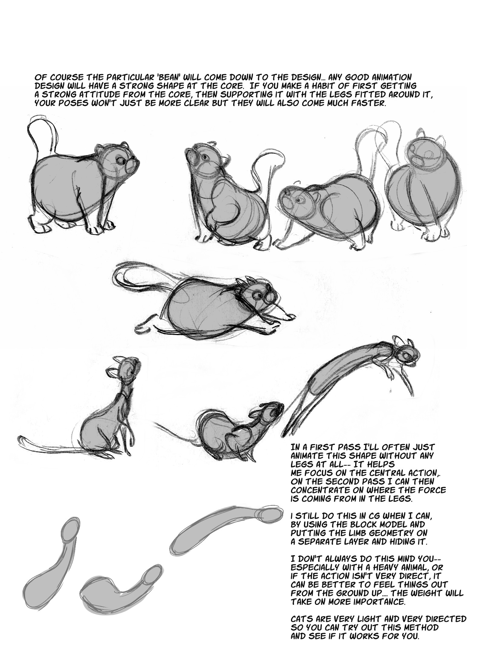 1600x2200 Cat Anatomy The Spine - Cat Skeleton Drawing