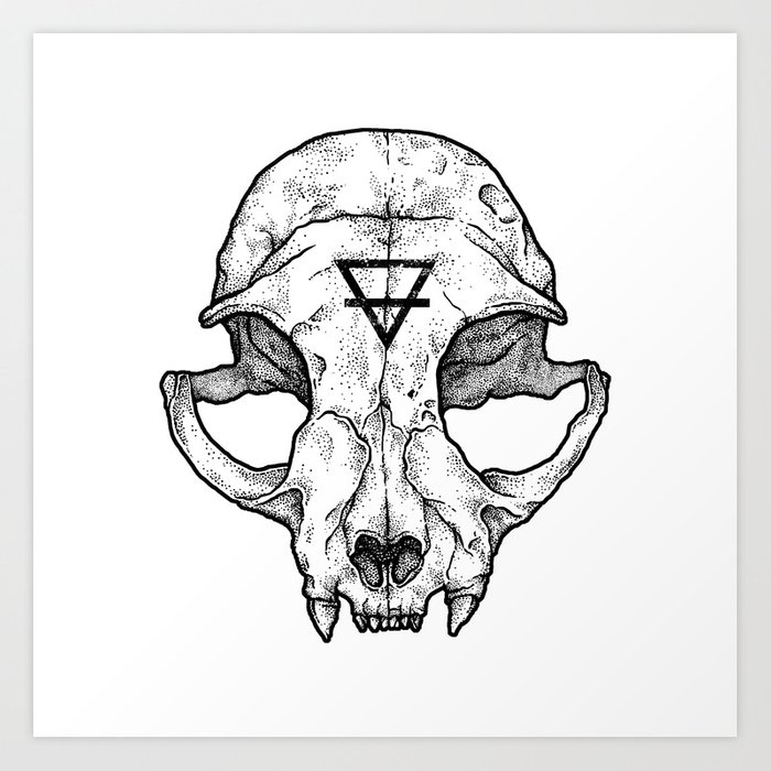 700x700 Cat Skull Ii Art Print - Cat Skull Drawing