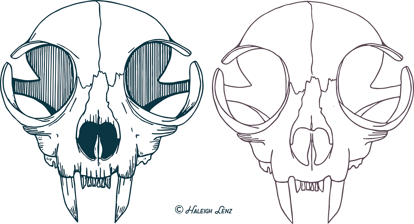 1400x759 Cat Skull Vector Illustration On Behance - Cat Skull Drawing
