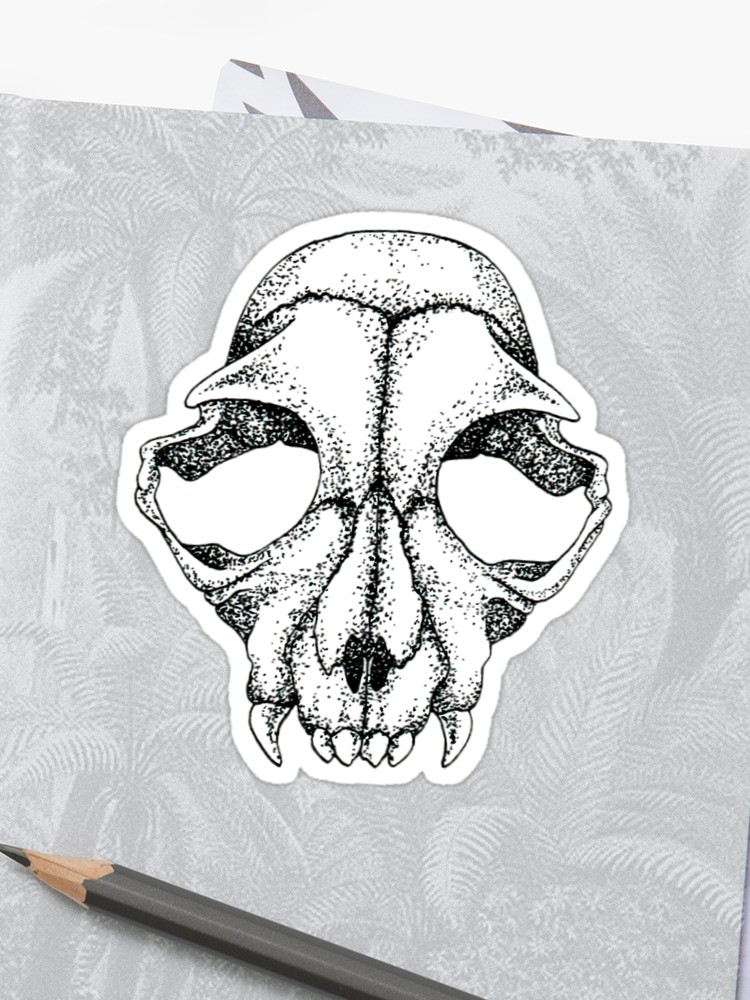 750x1000 Cat Skull Drawing - Cat Skull Drawing