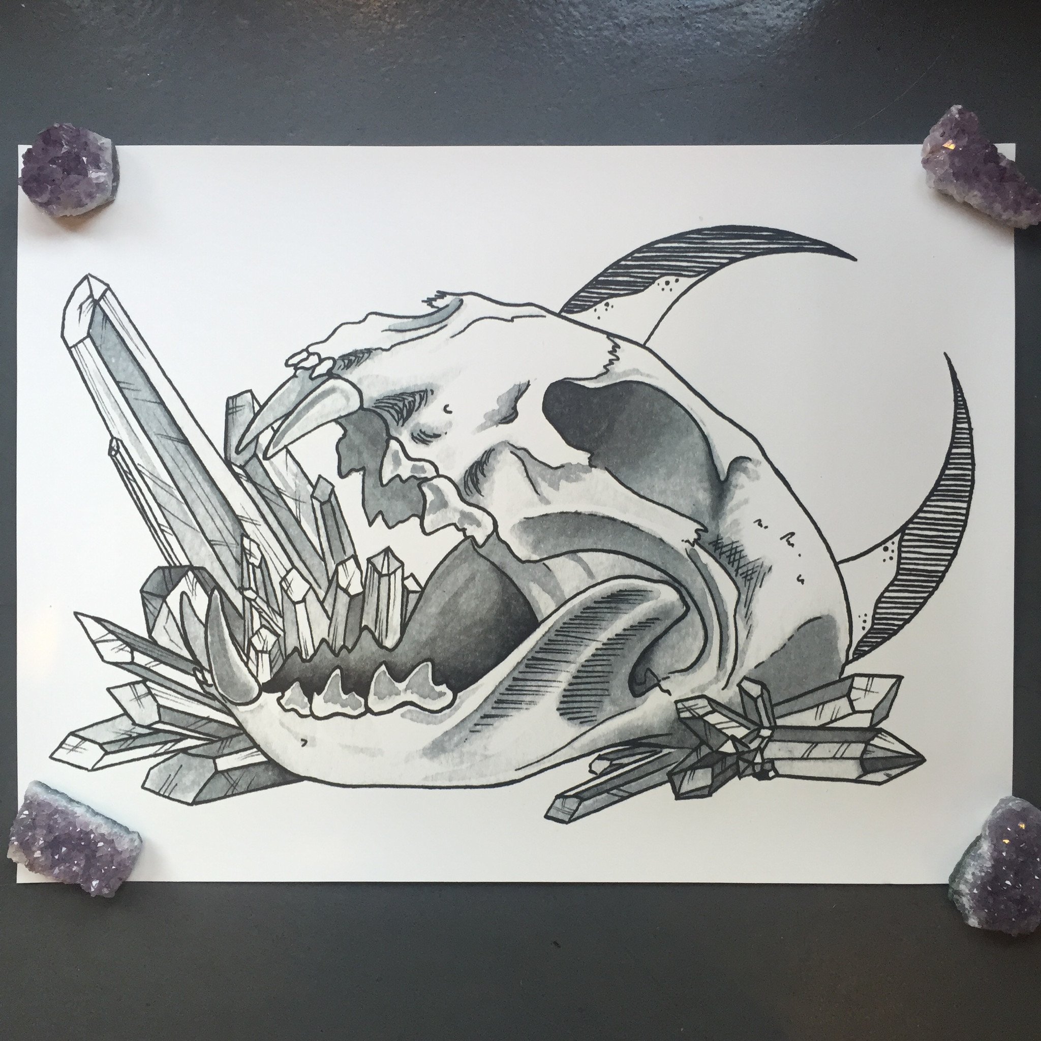 2048x2048 Tea Cake Cat Skull Poster Curious Nature - Cat Skull Drawing