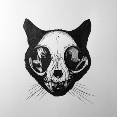400x400 Cat Skull Drawing Tumblr - Cat Skull Drawing