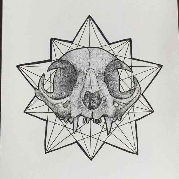 570x570 Original Cat Skull Drawing Etsy - Cat Skull Drawing