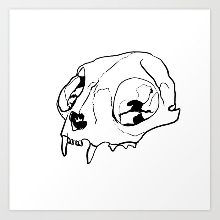 700x700 Cat Skull Art Print - Cat Skull Drawing