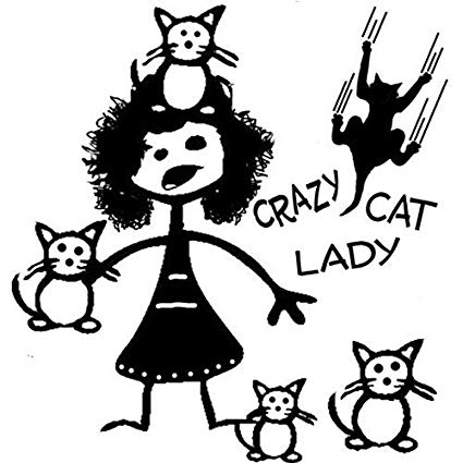 425x425 Crazy Cat Lady Stick Figure Family Decal Can Be - Cat Stick Figure Drawing